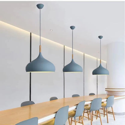 RayaDrop Pendant Light – LED Single Head Chandelier