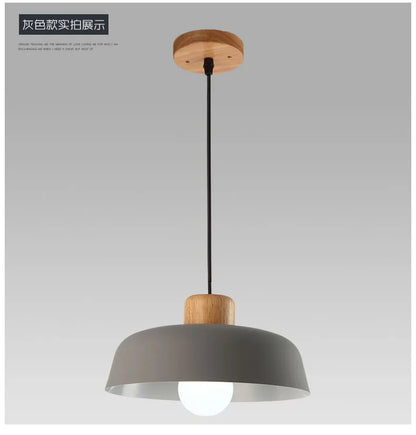 RayaFlare Pendant Light – Nordic LED Chandelier